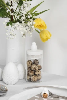 Räder Dose Piepmatz