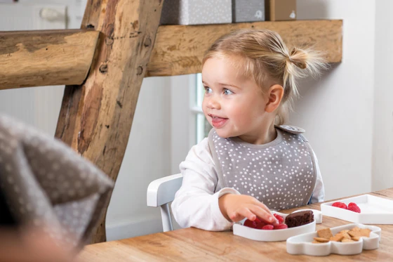 Räder Kids Porzellan-Service Teller Vogel