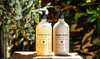 Bondi Wash Body Wash Tasmanian Pepper & Lavender