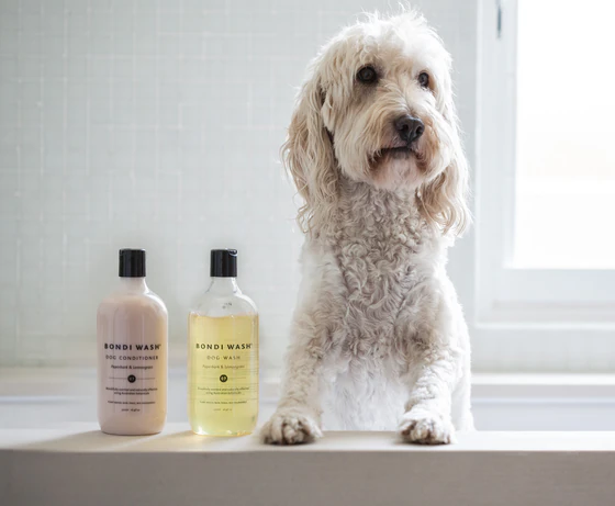 Bondi Wash Dog Wash Paperbark & Lemongrass