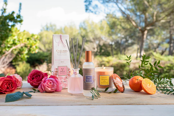 Collines De Provence Raumspray 100 ml EBENE & VETIVER