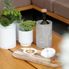 Räder Mix & Match Gaumenfreude Teller Good Mood Food
