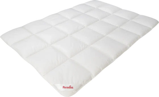 Paradies Dala Bio Winterdecke – Daunenleicht, Karosteppung & Bio Baumwolle