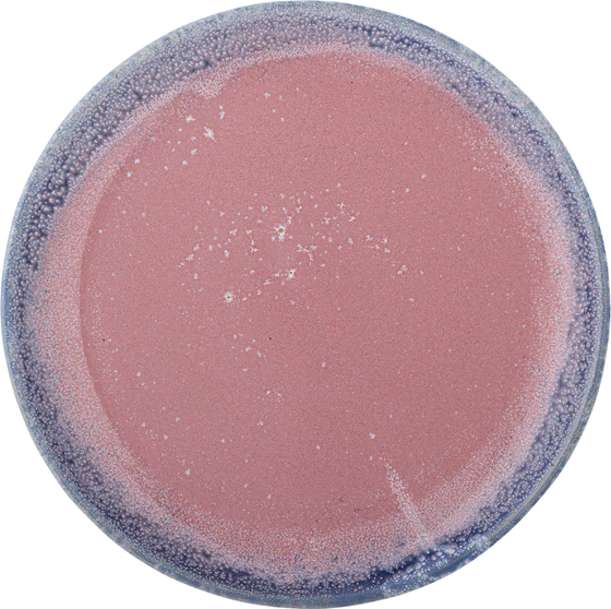 Speiseteller Steingut Bloomingville Paula Rosa Unikat