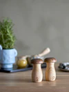 Salz- und Pfeffermühlen-Set Bloomingville Rahim Holz Unikat