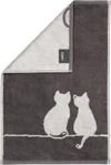 Handtuch Cawö Cute Cats 6263-77 basalt/platin – Flauschig & saugstark