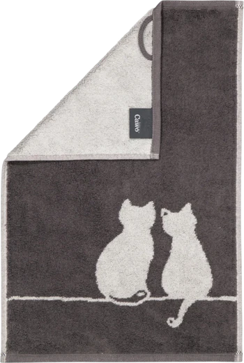 Handtuch Cawö Cute Cats 6263-77 basalt/platin – Flauschig & saugstark