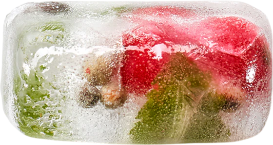 Eiswürfelform mit Deckel Lekue – Flexibles Silikon BPA-frei