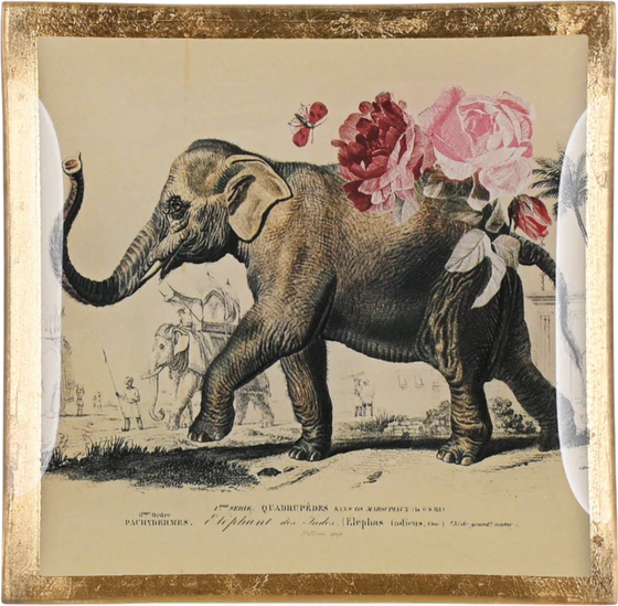 Dekorativer Glasteller GIFTCOMPANY Love Plates Elefant Weiß