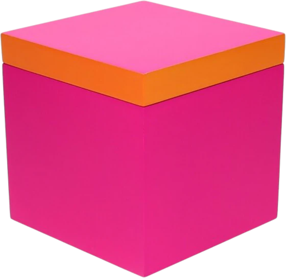 Aufbewahrungsbox MDF Neo S neon pink/orange – GIFTCOMPANY