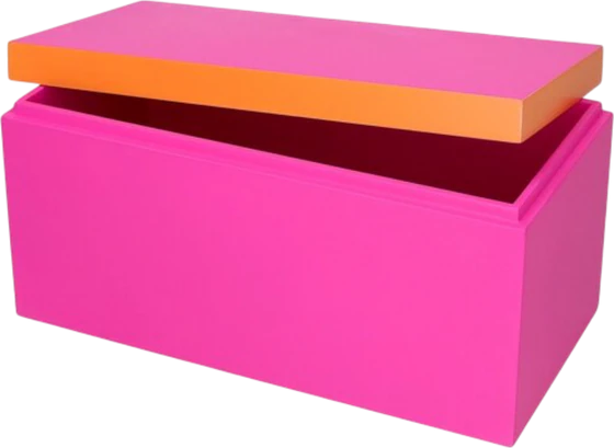 Aufbewahrungsbox MDF Neo M Neon Pink Orange GIFTCOMPANY