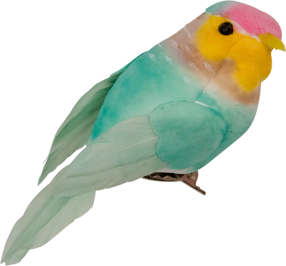 Dekovögel mit Clip Rice by Rice 6 Farben – Kreative Geschenkdeko