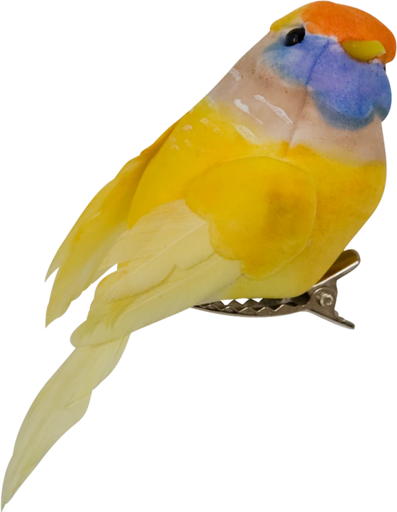 Dekovögel mit Clip Rice by Rice 6 Farben – Kreative Geschenkdeko