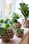 Keramik-Übertopf Chic Antique Madeleine Mokka – Handgefertigt Unikat