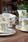 Speiseteller Porzellan Chic Antique Maison Citron 27,5cm Creme