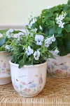 Keramik-Übertopf Chic Antique Papillon Creme Blumenmuster