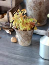 Dekorativer Blumentopf Chic Antique Melun Latte – Keramik, Skandi-Look