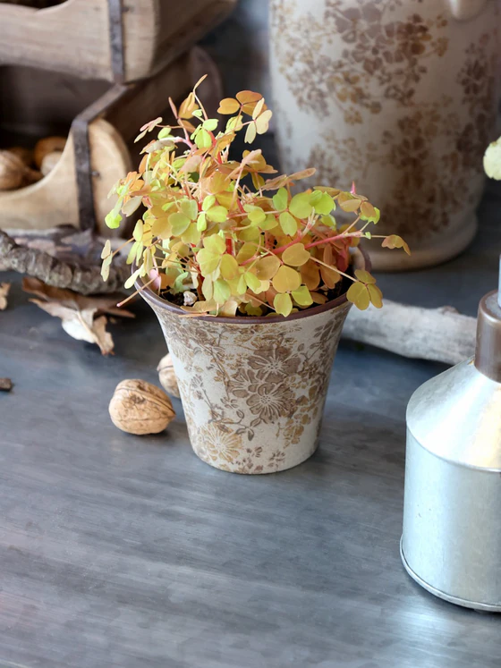 Dekorativer Blumentopf Chic Antique Melun Latte – Keramik, Skandi-Look
