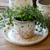 Übertopf Zimmerpflanzen Chic Antique Chaville Creme Keramik Vintage