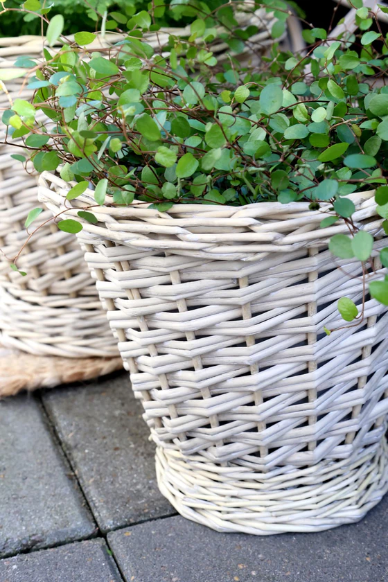 Korb-Set mit Plastikeinsatz Chic Antique Natur 3er-Set Weide