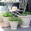 Korb-Set mit Plastikeinsatz Chic Antique Natur 3er-Set Weide