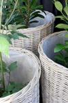 Korb-Set mit Rollen Chic Antique Natur 3er-Set Weide