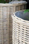 Korb-Set mit Rollen Chic Antique Natur 3er-Set Weide
