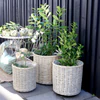 Korb-Set mit Rollen Chic Antique Natur 3er-Set Weide