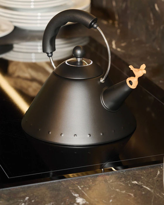 Wasserkessel Alessi 9093 Edelstahl Flöte Induktionsgeeignet