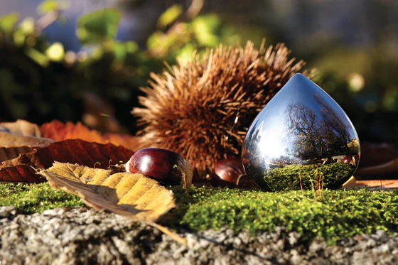 Pillendose Alessi Chestnut-CHB01 Edelstahl – Edles Design