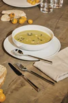 Alessi Besteckserie Clivo-PU10 aus Edelstahl