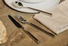 Alessi Besteckserie Clivo-PU10 aus Edelstahl