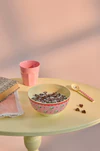 Melamin-Schale Rice by Rice Pink Snoopy 700ml bruchfest